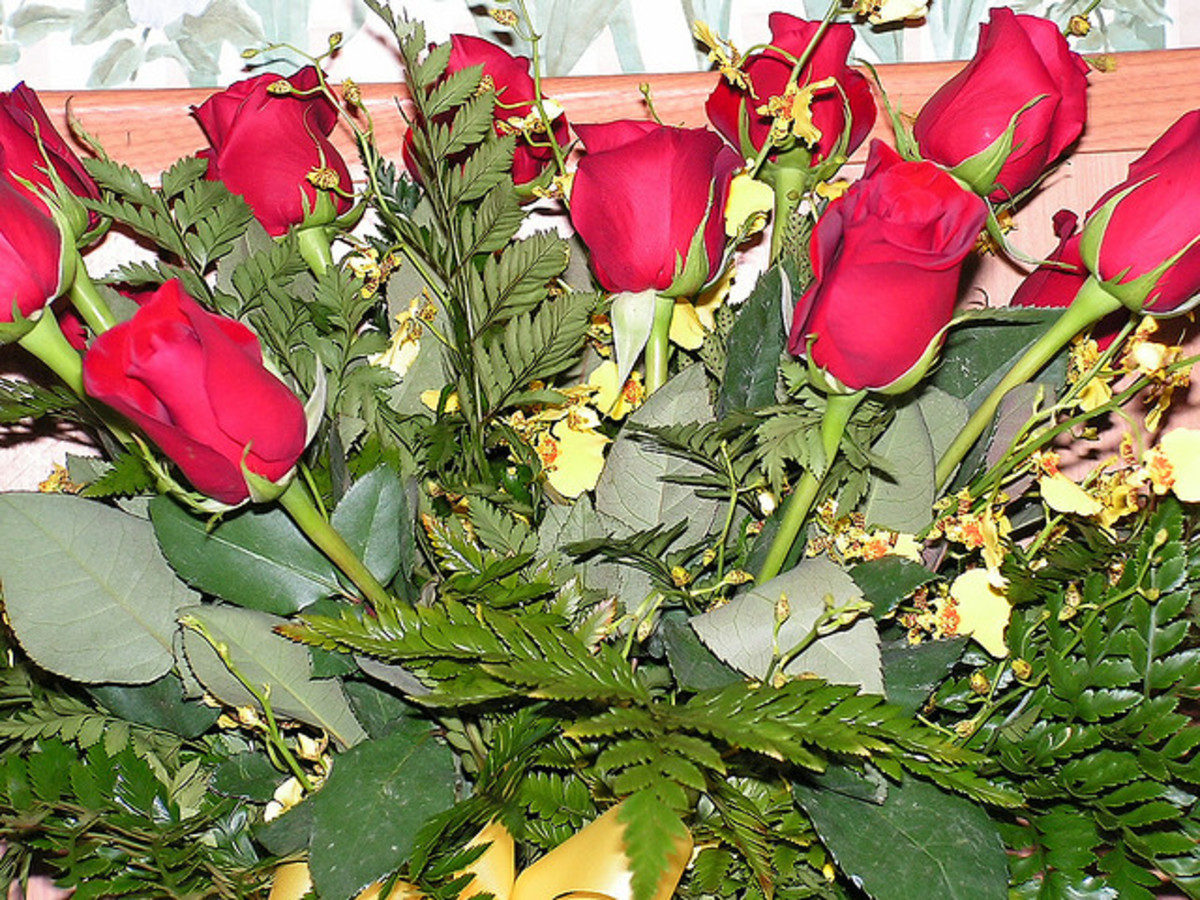 What do Flower Colors Mean in Relationships? PairedLife