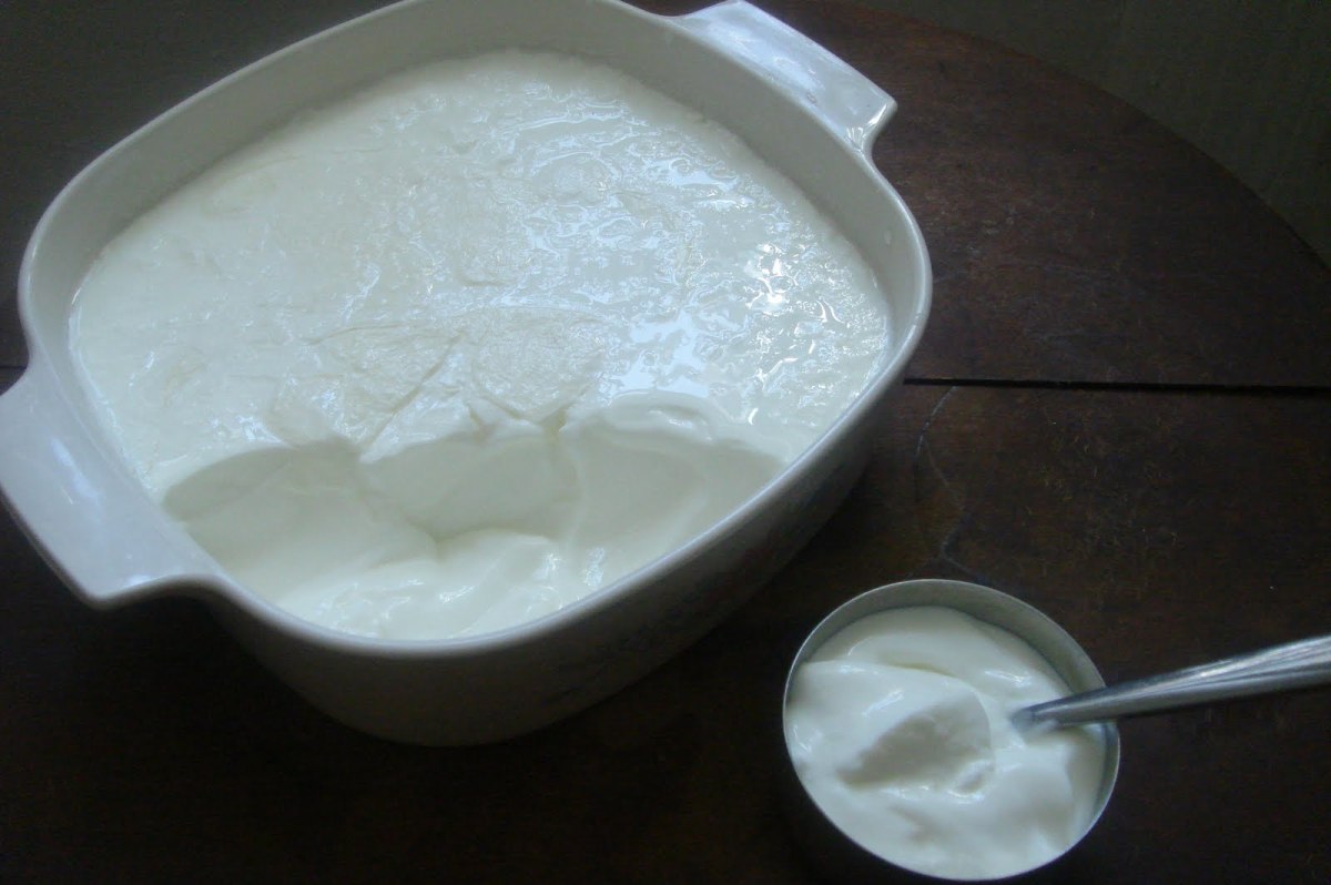 Differentiating Between Yogurt, Cheese, Curd, Butter, Ghee, and Other