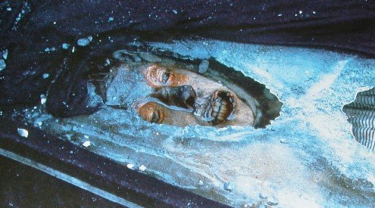 John Torrington The Frozen Mummy of the Franklin Expedition Owlcation