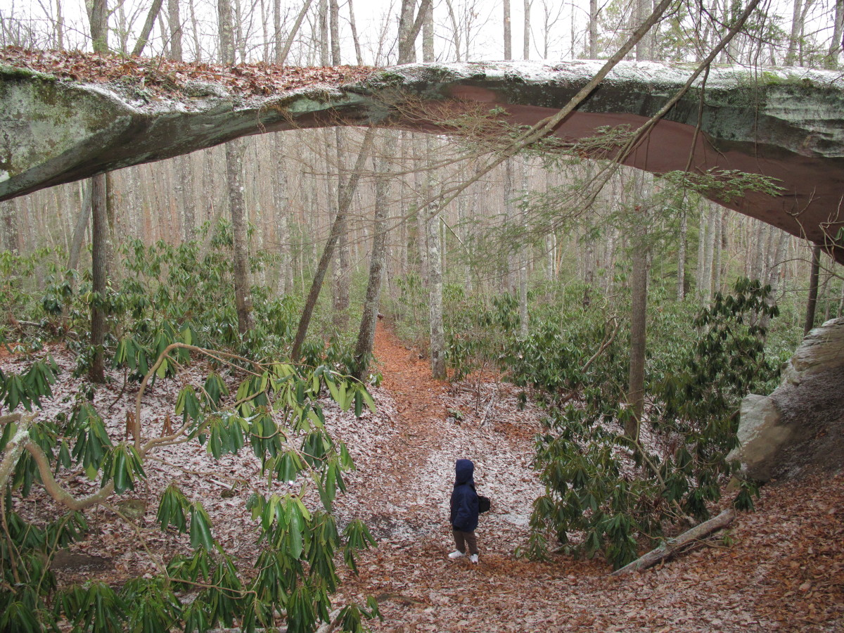 A Beautiful Travel Getaway to Pickett State Park, TN HubPages