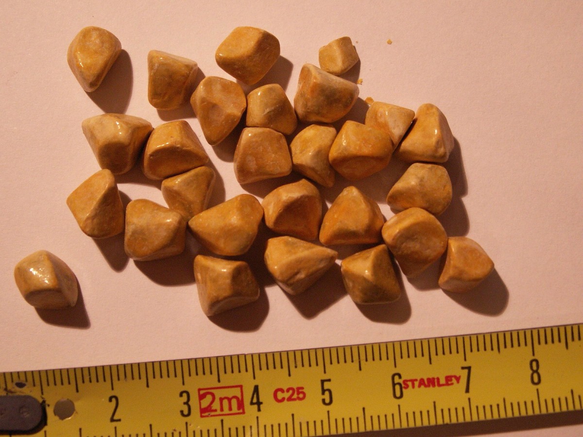 Dealing with Bladder Stones in Dogs hubpages
