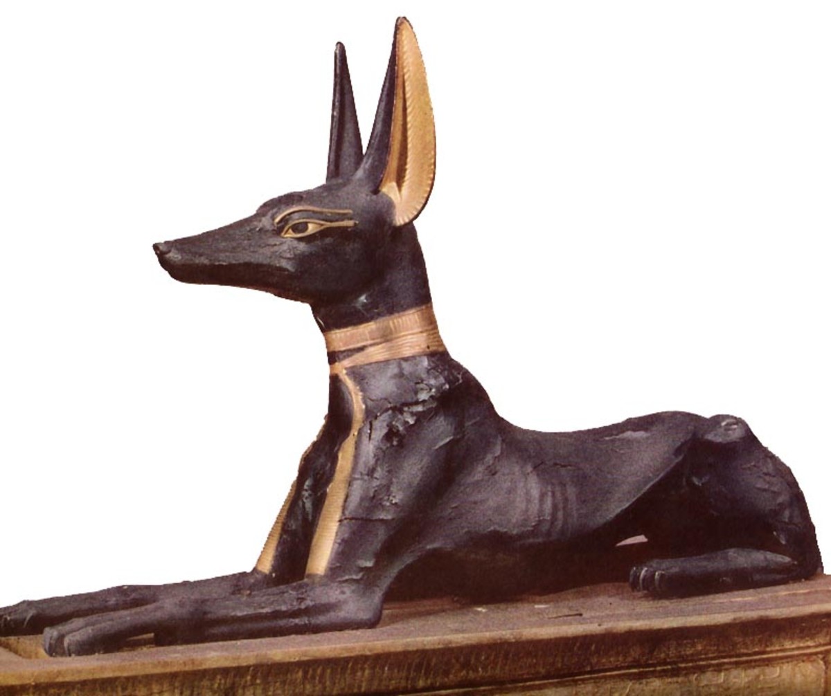 Anubis The Egyptian God Forever Treated Like a Dog HubPages