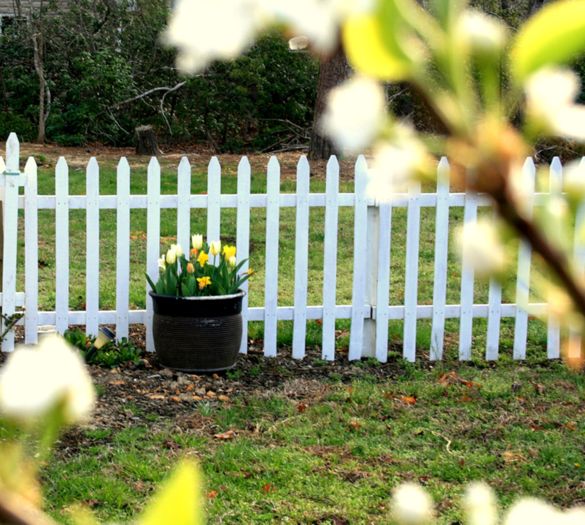 Lasagna Bulb Pot Easy Fall Project Dengarden
