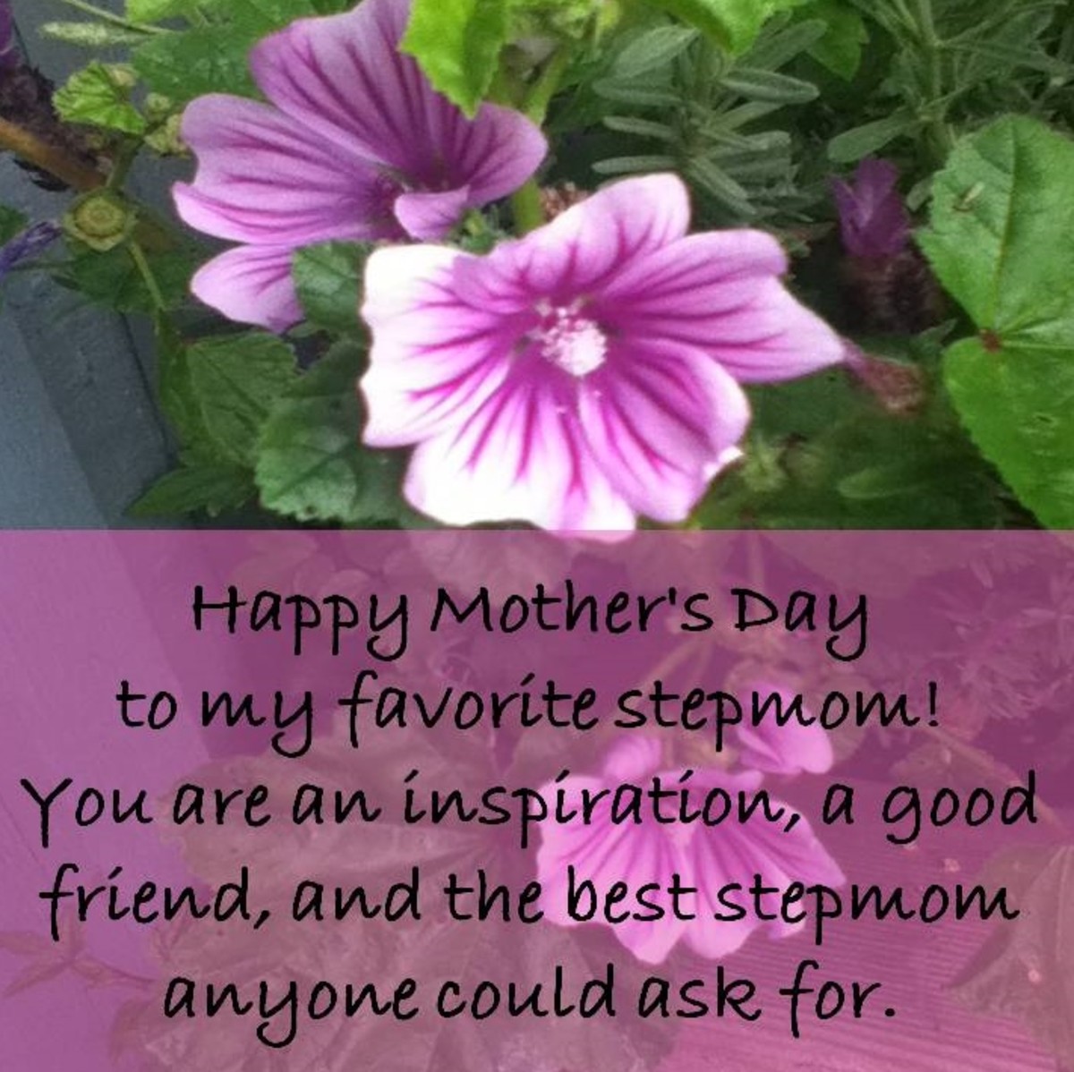 Card Greetings and Gift Ideas for a Stepmom on Mother's Day Holidappy