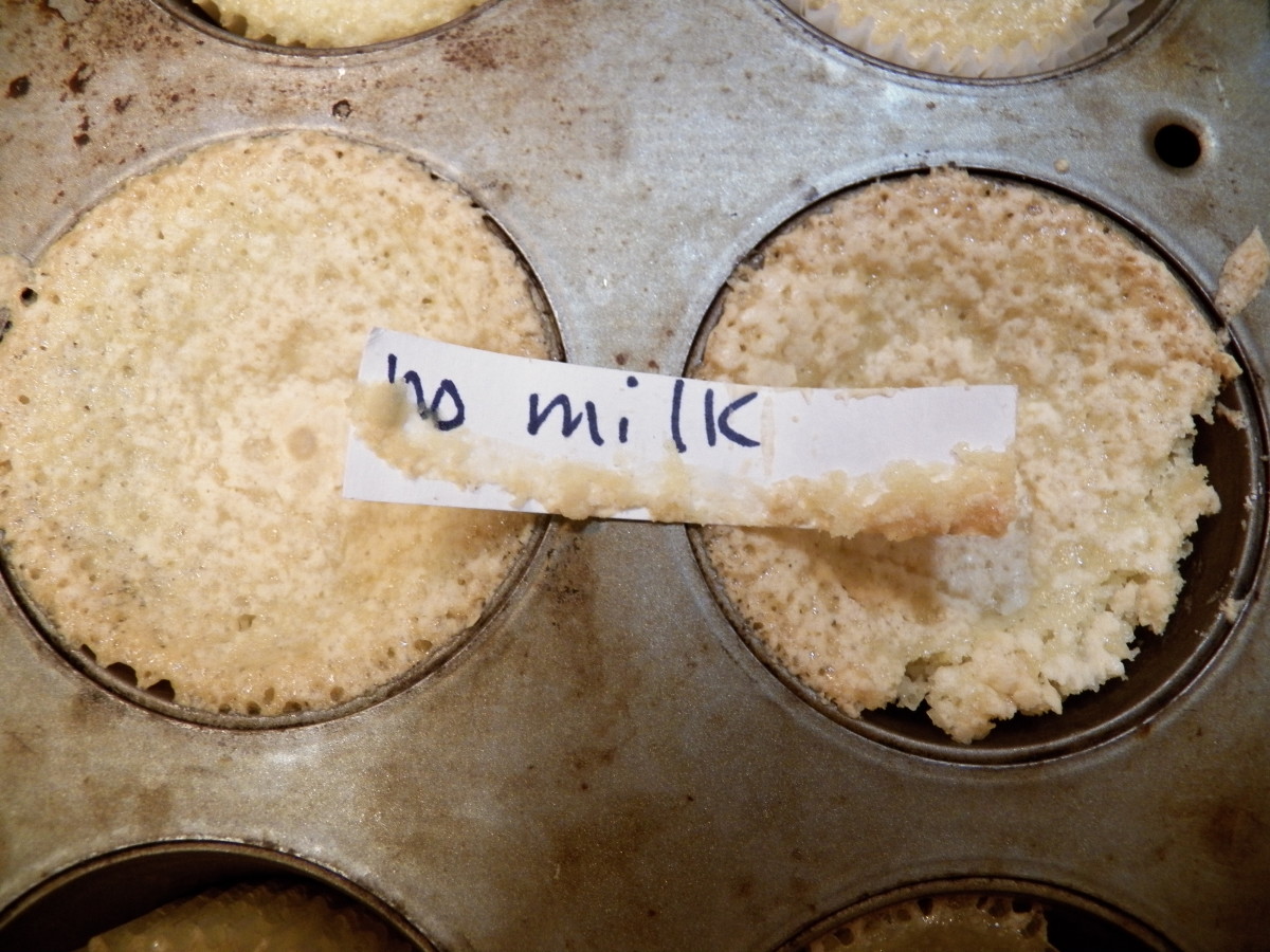 Fun Cupcake Baking Science Fair Project | Owlcation
