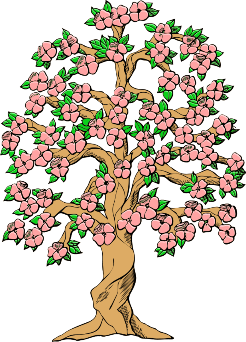 TREE CLIP ART 175 Free Clip Art Trees HubPages