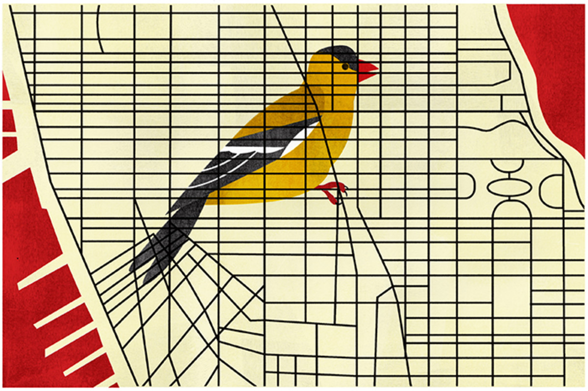 "The Goldfinch" by Donna Tartt, Pulitzer Prize winner 2014 HubPages