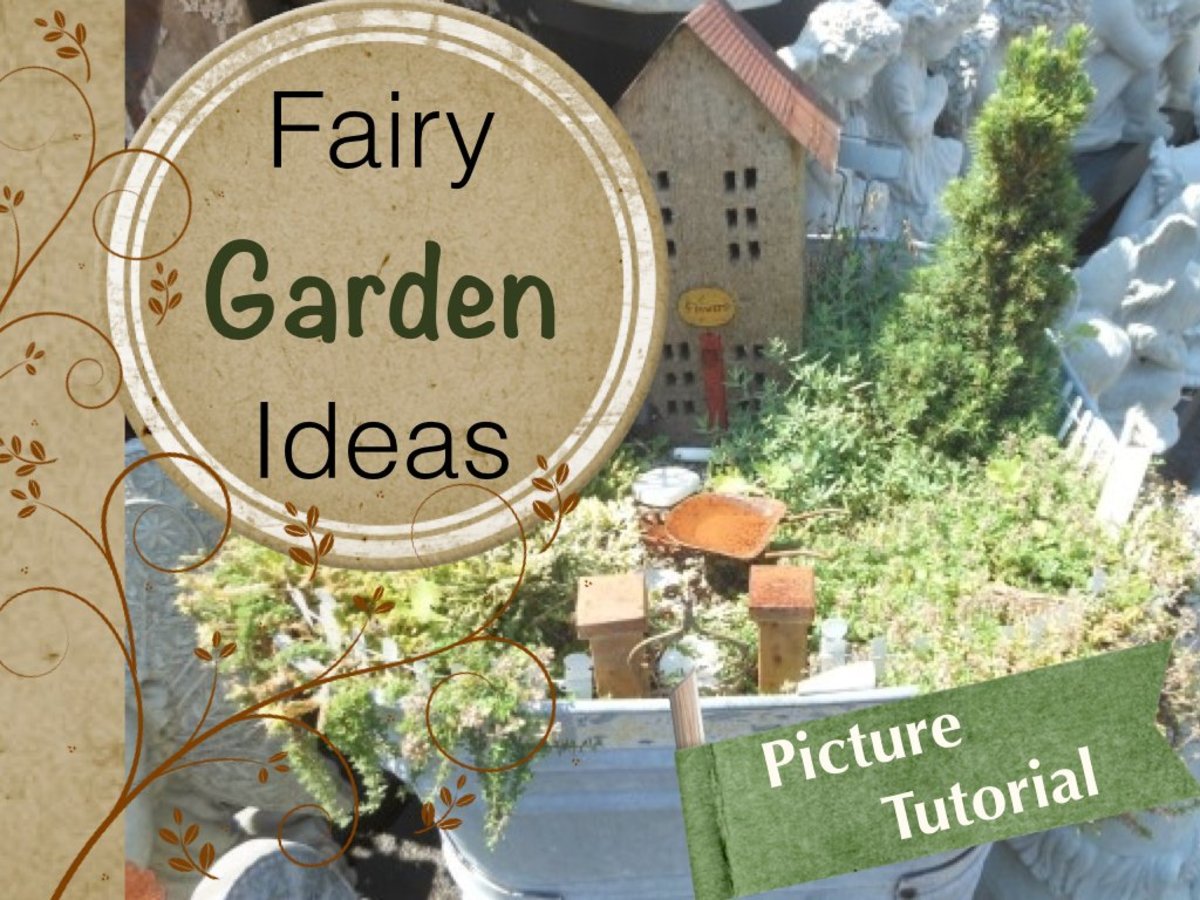 Miniature Fairy Gardens Ideas and Pictures Dengarden