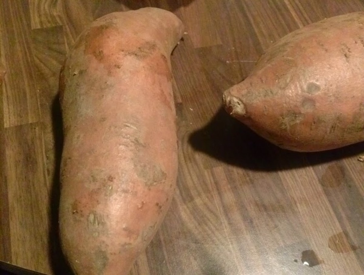 How to Grow Sweet Potato Greens From Sweet Potatoes HubPages