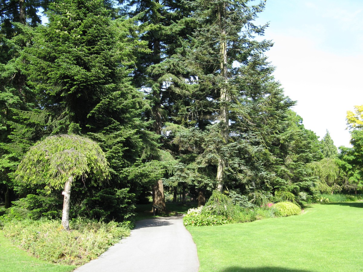 Exploring the Beautiful VanDusen Botanical Garden in Vancouver