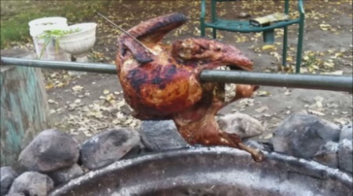 Campfire Turkey How To Cook Your Own HubPages