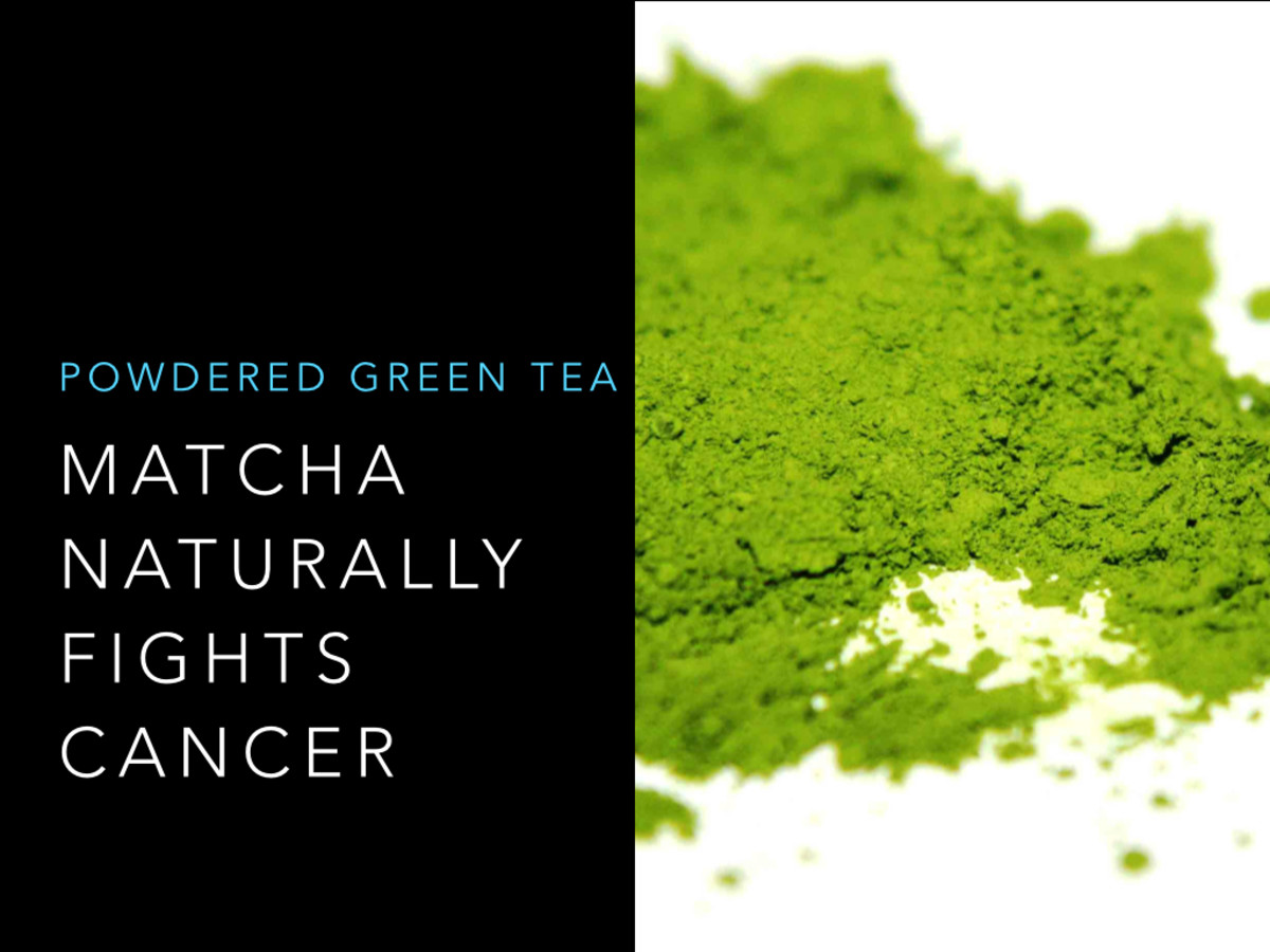 Health Benefits of Matcha Green Tea Powder CalorieBee