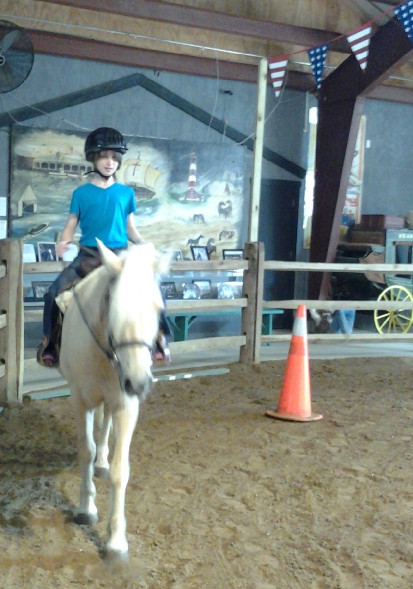 Chincoteague and Assateague Islands Where the Ponies Run! HubPages