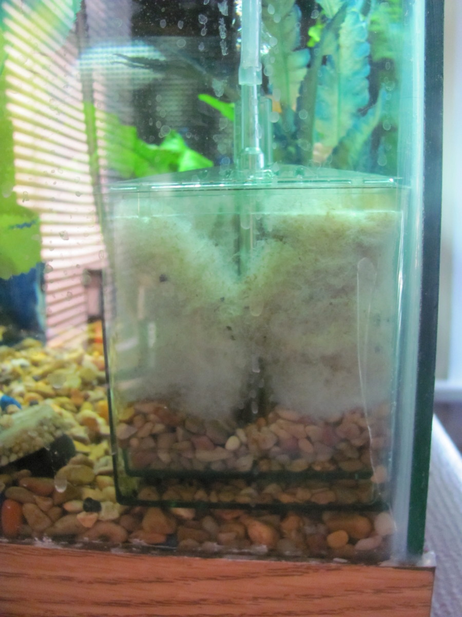 How to Use Box/Corner Filters in an Aquarium PetHelpful
