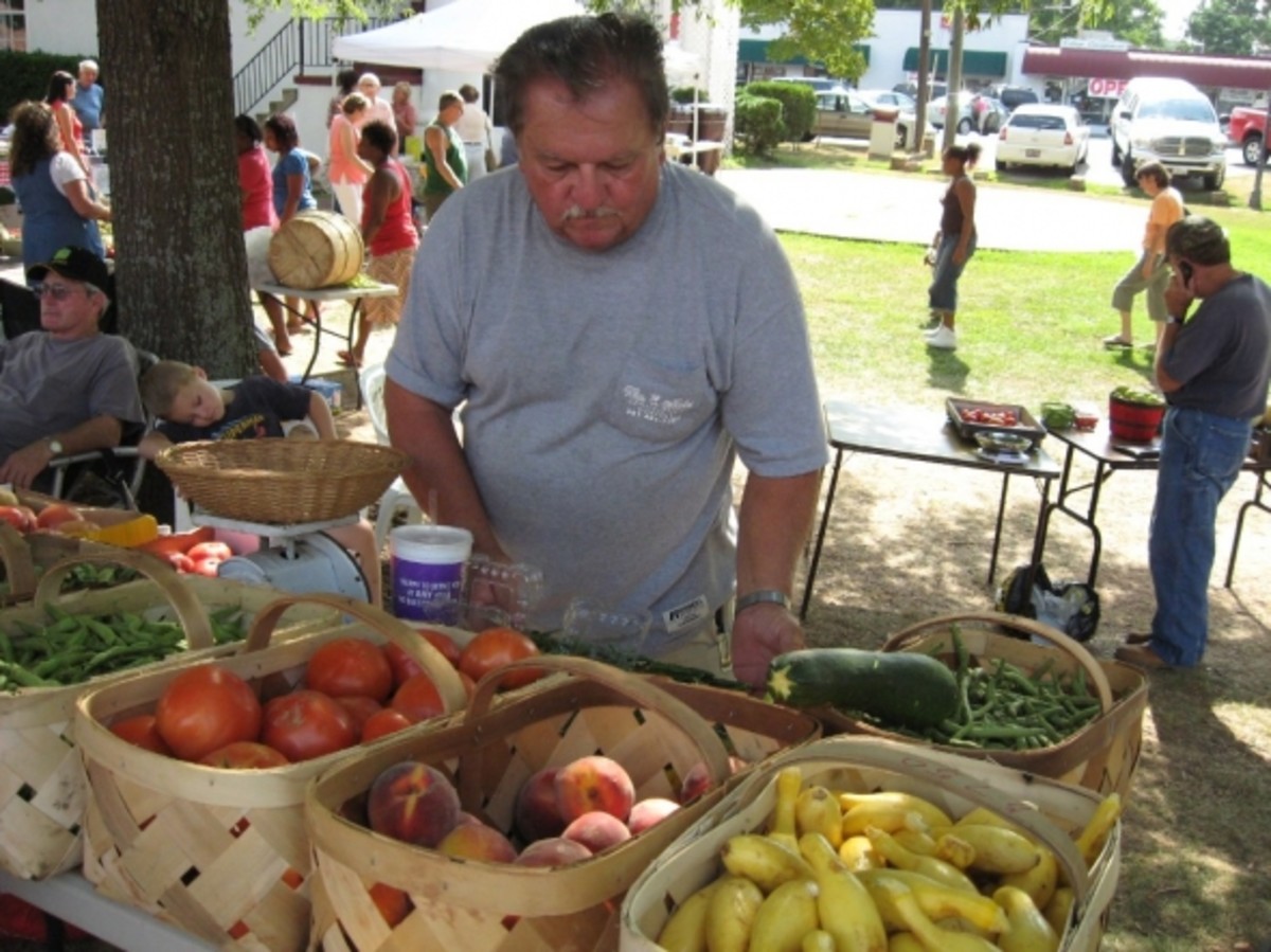 Pendleton Farmers Market HubPages