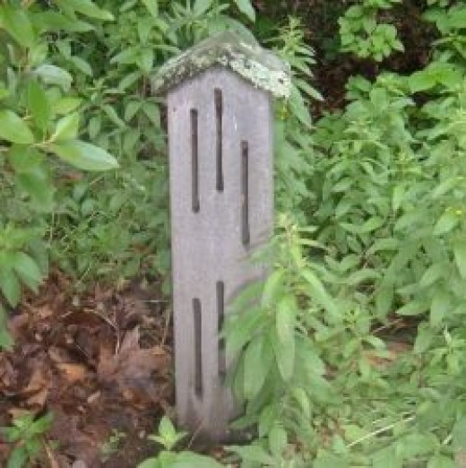 Butterfly House Plans How to Build a Butterfly House