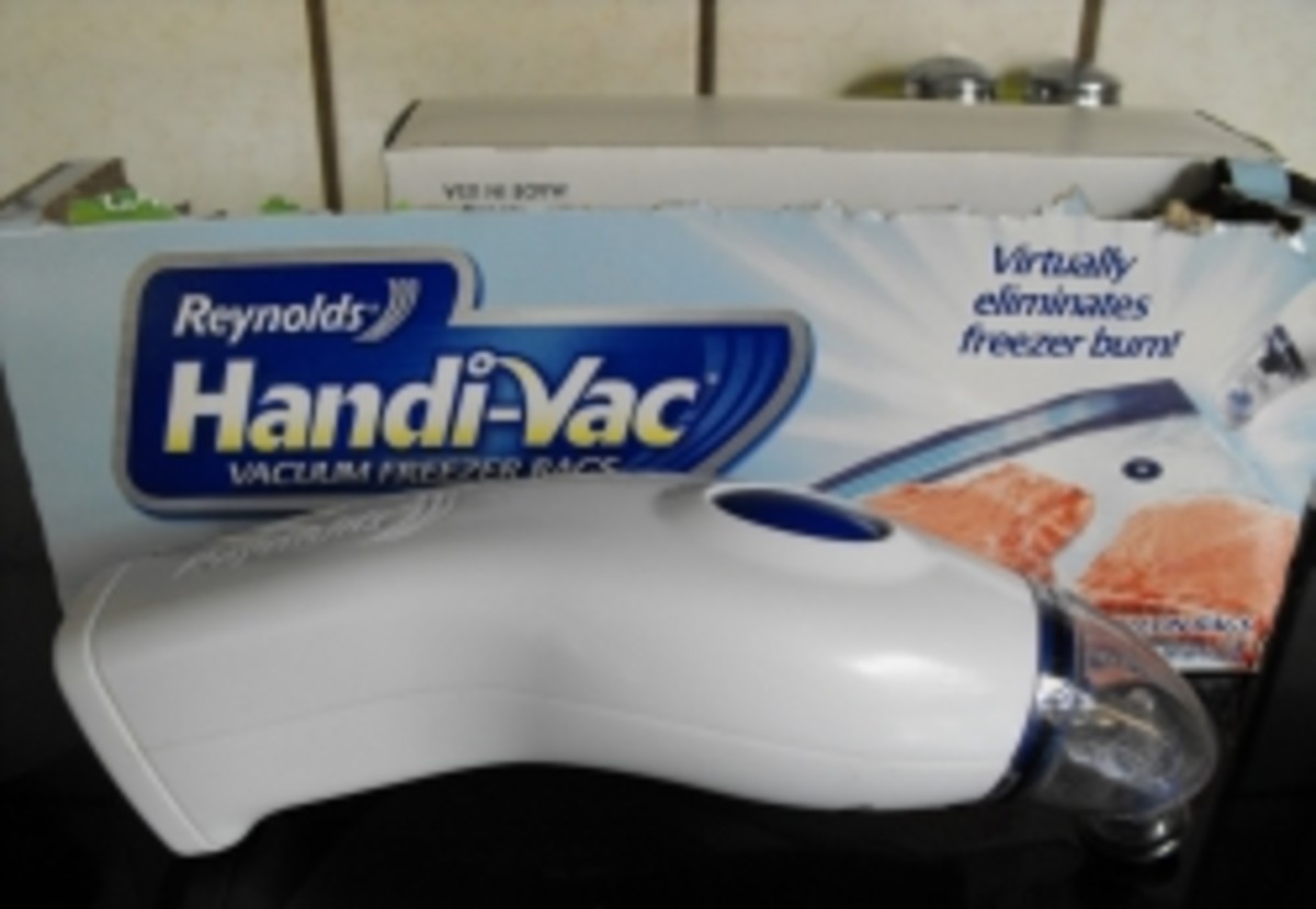 Buy Debbie Meyer GeniusVac Bags In Place of Handi Vac Freezer Bags