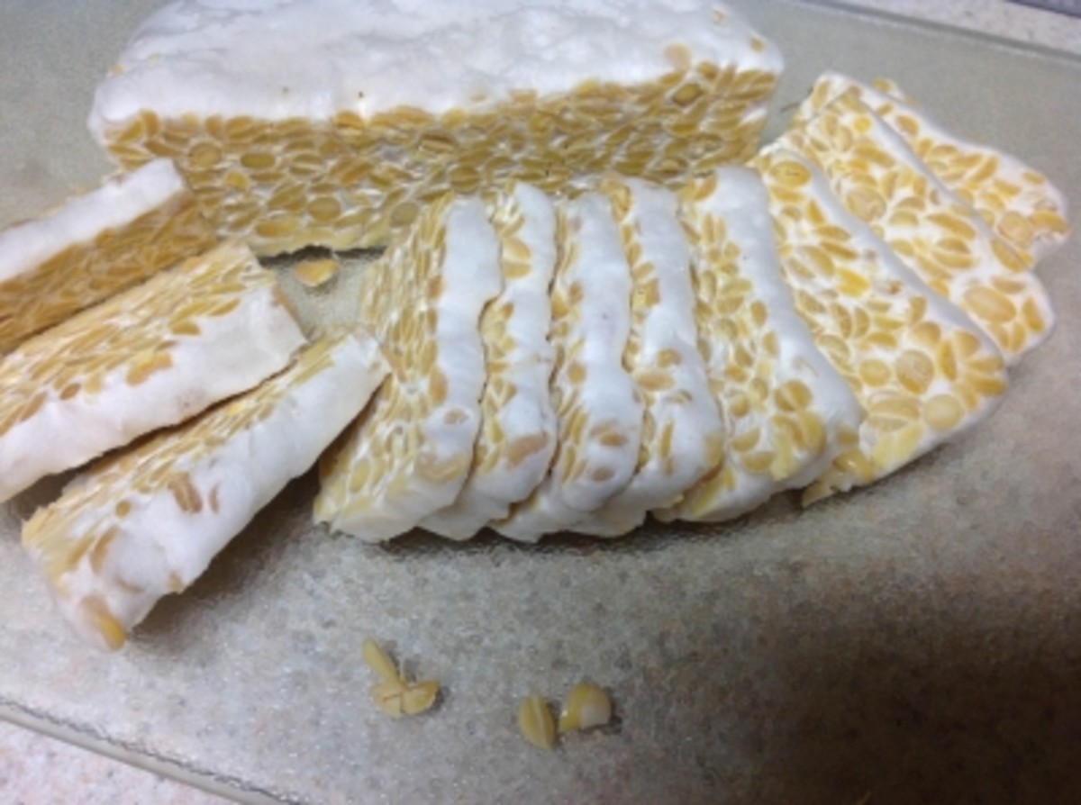 How to Make Tempeh in An Easy Way HubPages