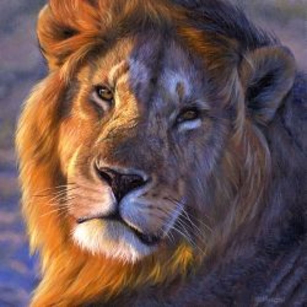 Best Documentaries On African Wildlife HubPages