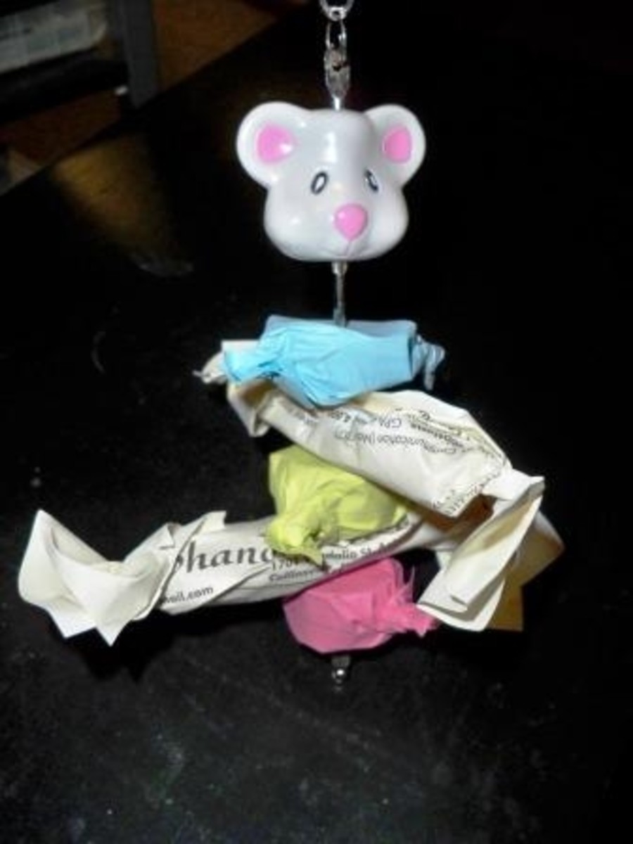 Pet Rat Toys Homemade Toys for Pet Rats and Other Pocket Pets HubPages