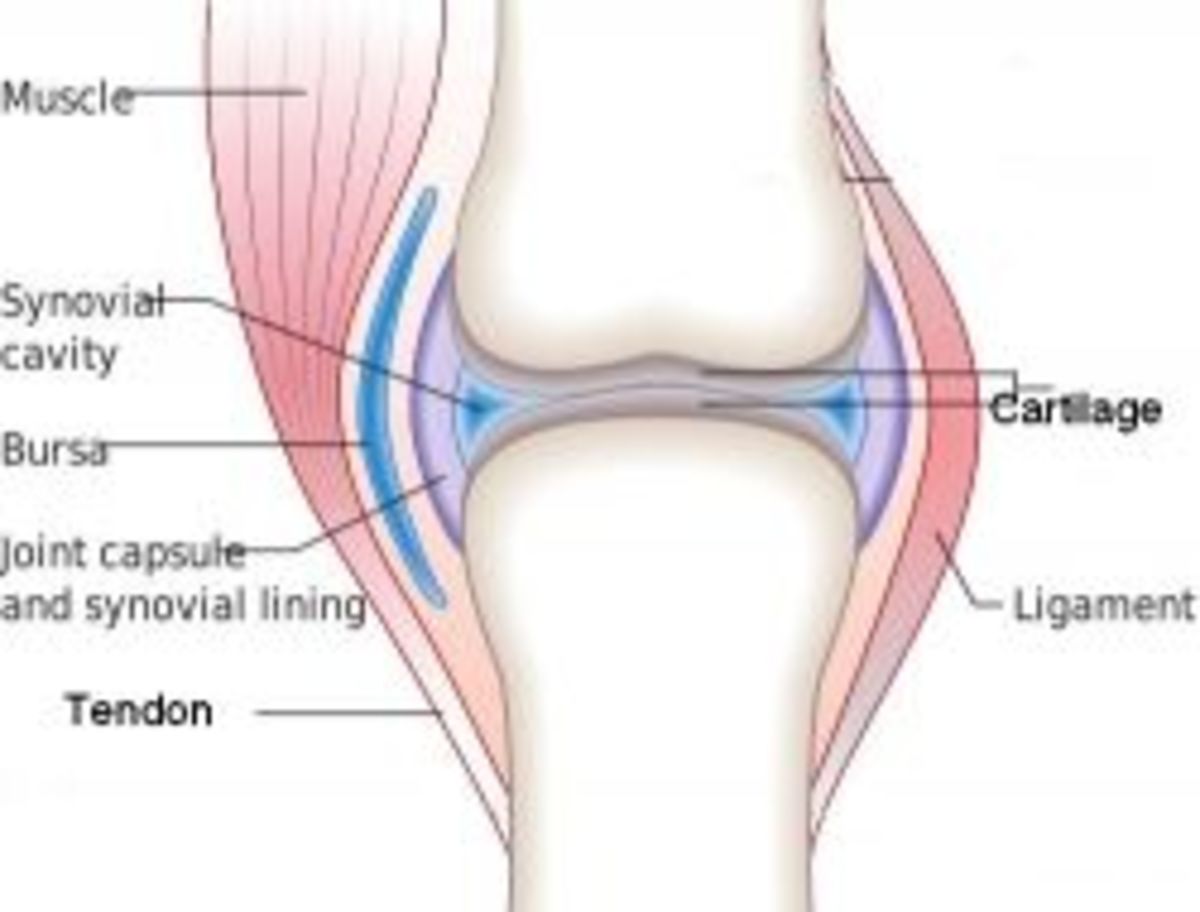 How Does Yoga Help Arthritis? HubPages