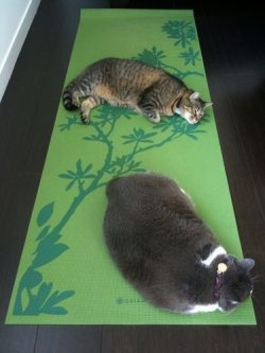 Tips for Developing Your Home Yoga Practice hubpages