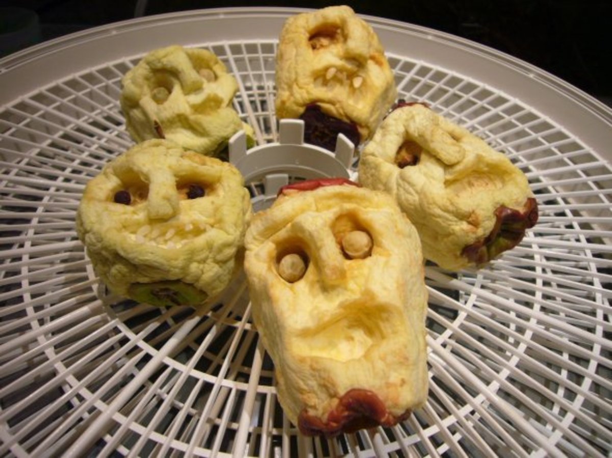 Shrunken Apple Heads HubPages