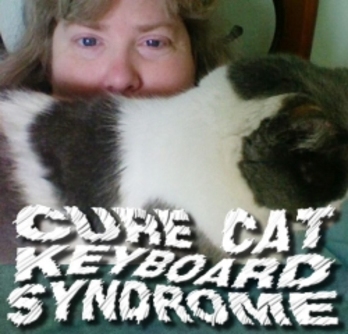 Cool Corner Desk (With Cat Bed) HubPages