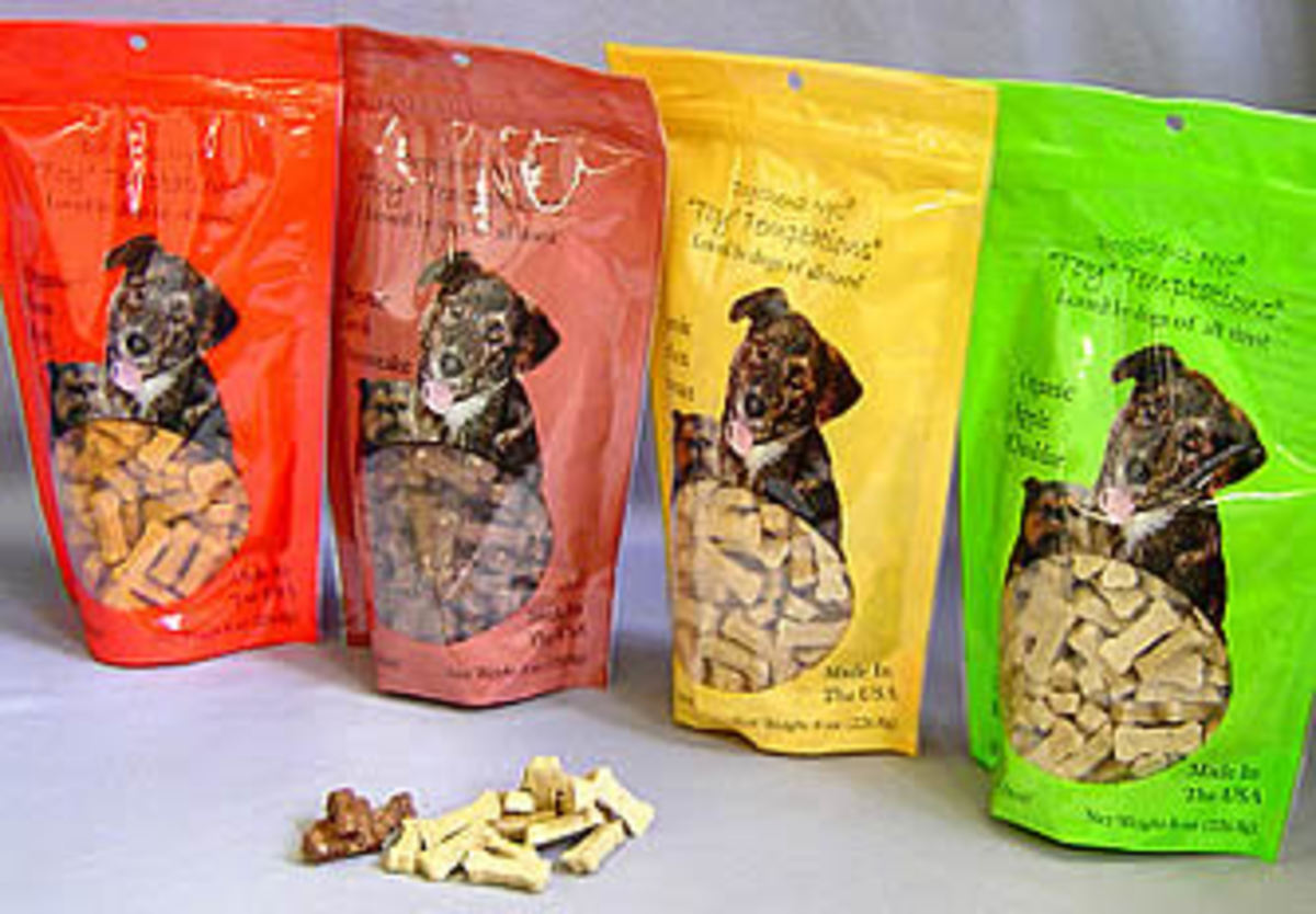 The Best Dog Treat Recipe Ever HubPages