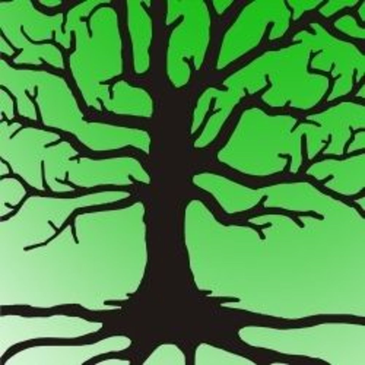 Grounding Techniques for Stress and Anxiety RemedyGrove