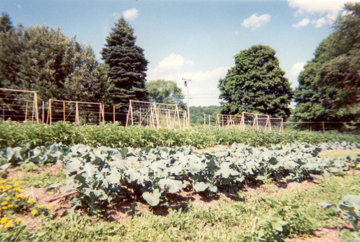 Ideas For Your Farmers Market Booth Or Vegetable Stand HubPages