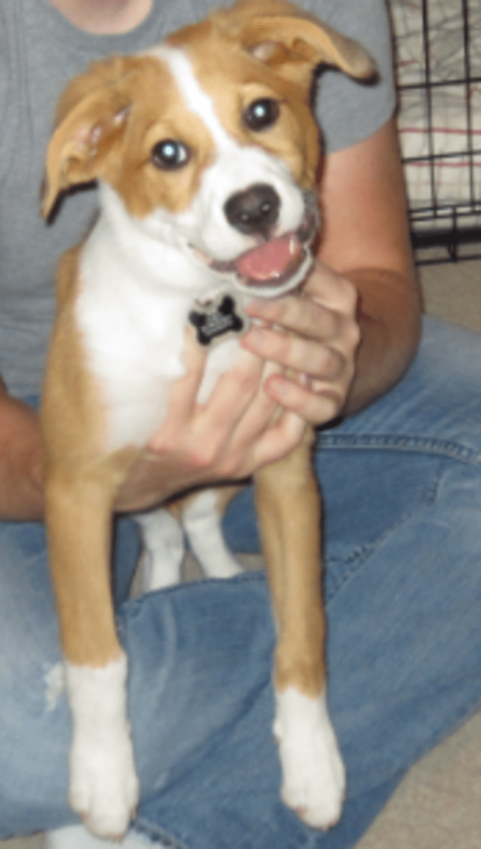 3D Pyramid Model Project Ideas