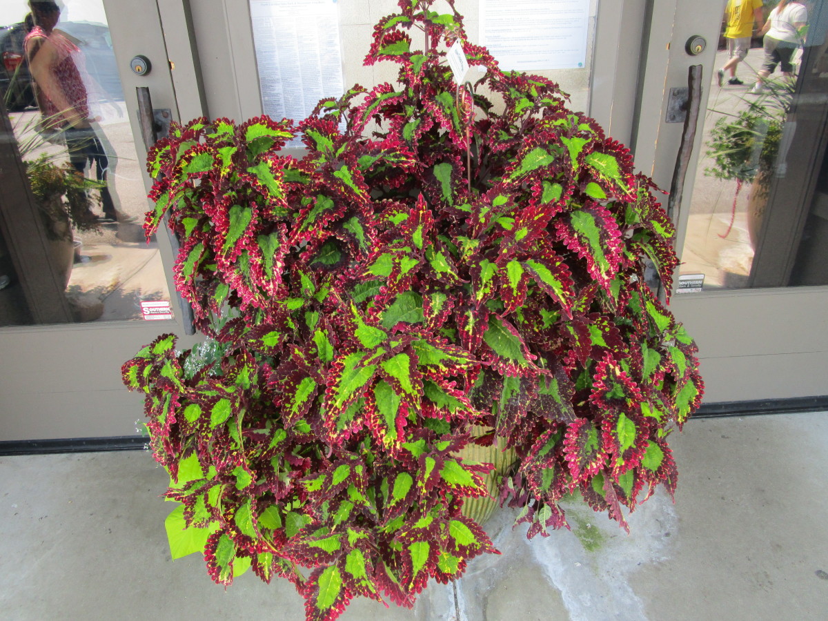 Chimney Rock State Park Chimney Rock, NC HubPages