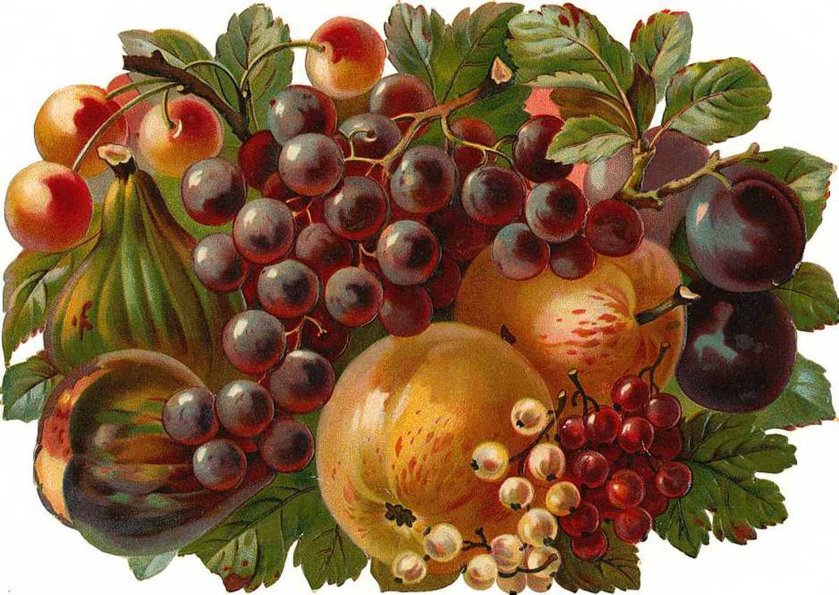 Free Victorian Flowers and Vintage Fruit Clip Art and Borders hubpages