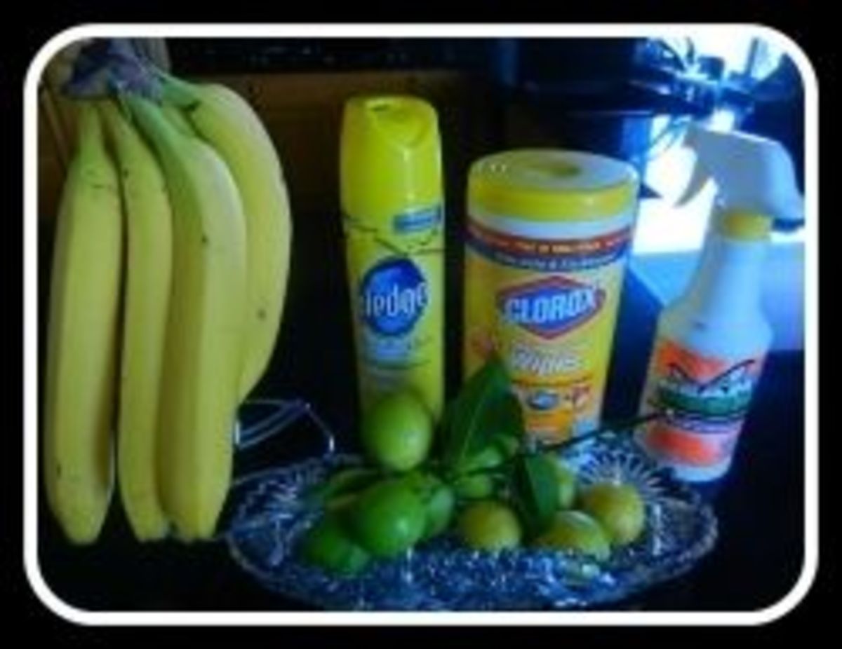 Extreme Coupons For Extreme Budgets