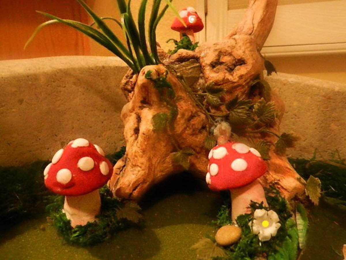How To Create A Secret Fairy Garden And Attract Real Fairies This Summer