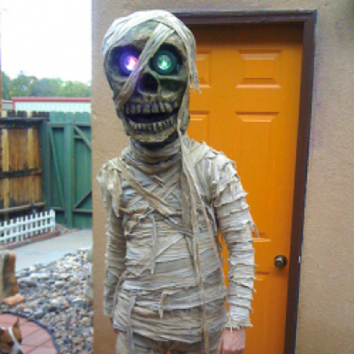 Homemade Fancy Dress Ideas & DIY Halloween Costumes HubPages