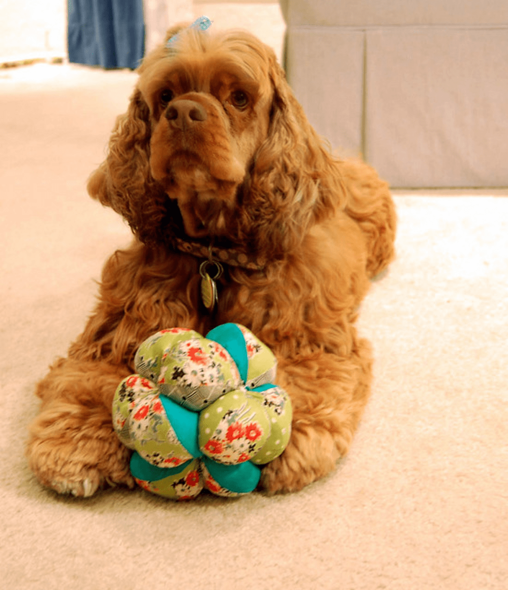 DIY Dog Beds & Cat Toys Homemade Pet Gifts and Fun Products ★ HubPages