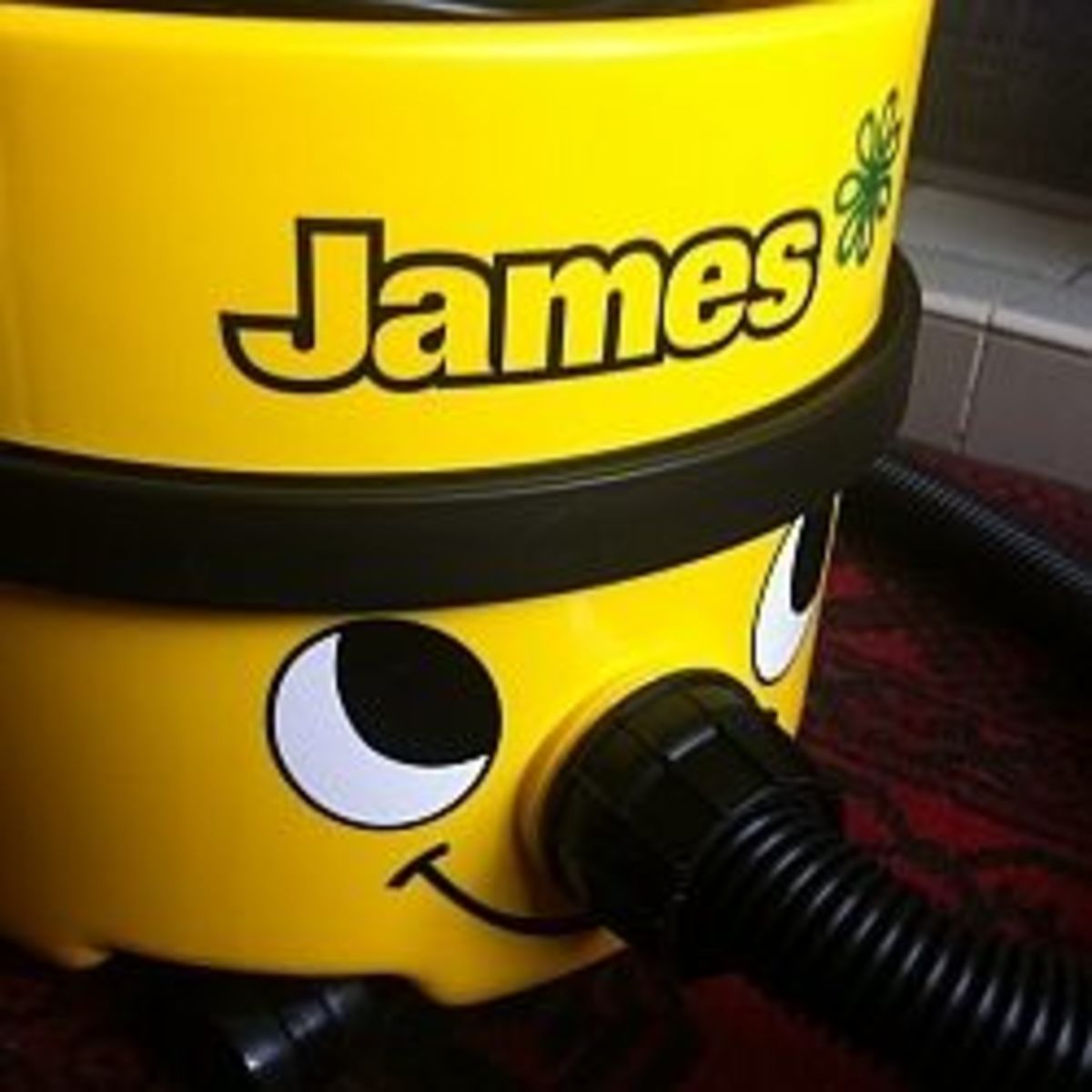 Oreck vs Dyson vs Hoover vs Bissel vs Shark vs Miele The Best Vacuums