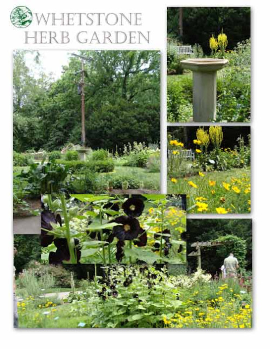 Visit Ohio's Beautiful Public Gardens HubPages