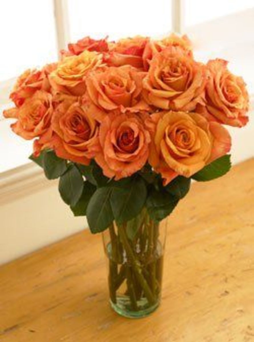 Rose Colors And Meanings hubpages