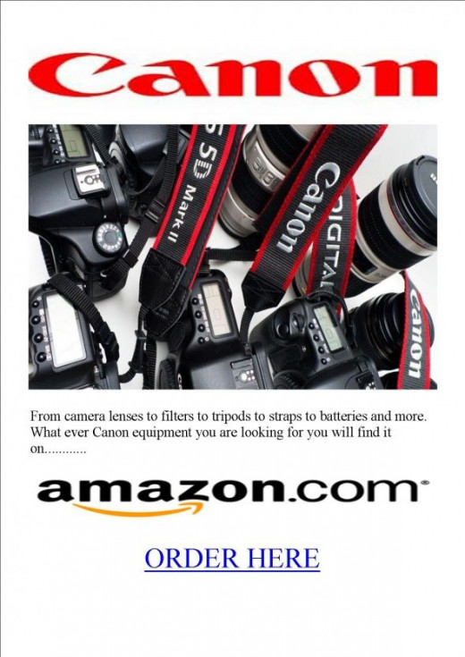 Best dslr for low light