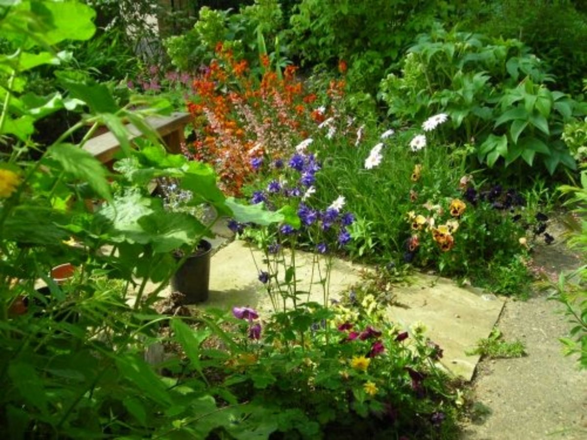 How to Design a Small Front Garden Cheaply Dengarden