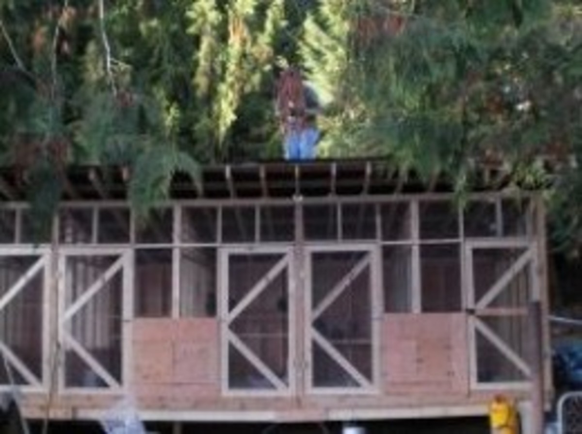 From Ugly Old Shed to Trendy Chicken Coop