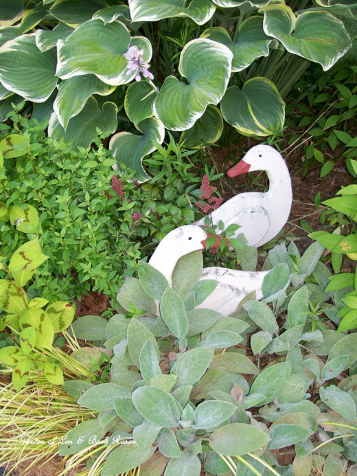 How to Grow Flowers in the Shade HubPages