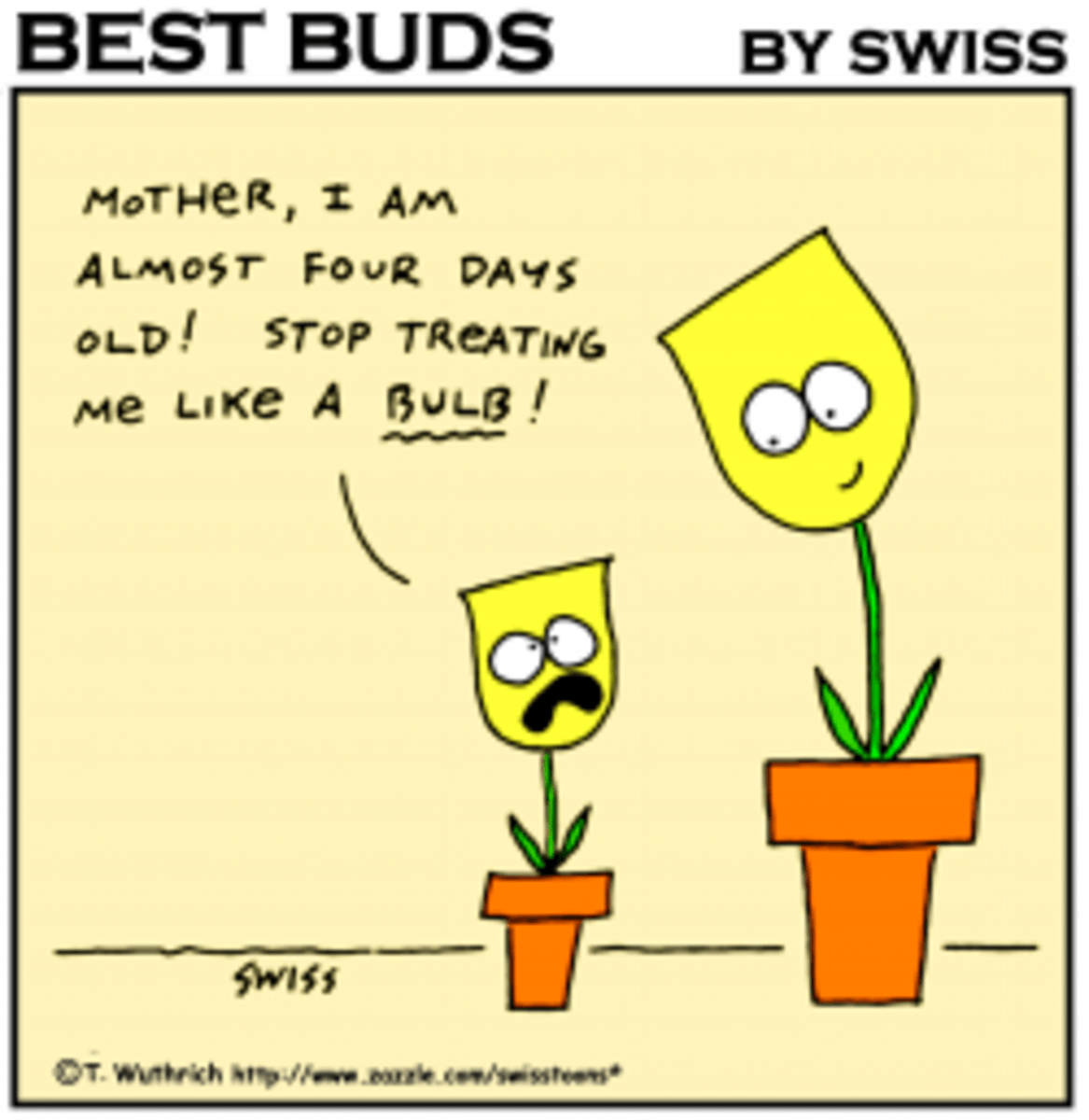 Cheap Fun Gardener Gifts Kids Can Give Grandma HubPages