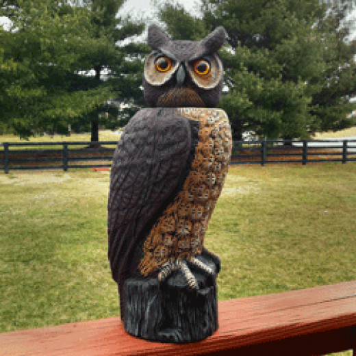 Using an Owl Decoy to Deter Birds and Undesired Wildlife HubPages