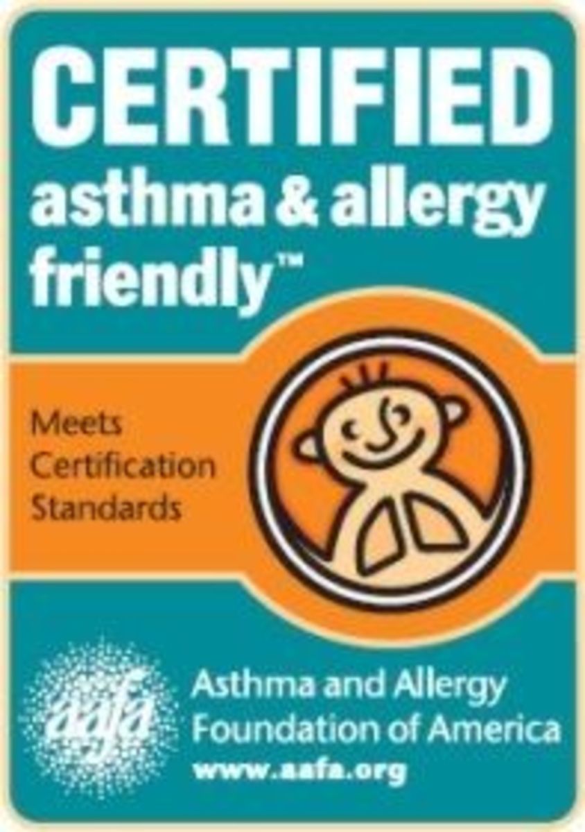 Allergy and Asthma Friendly Stuffed Animals for Babies and Children
