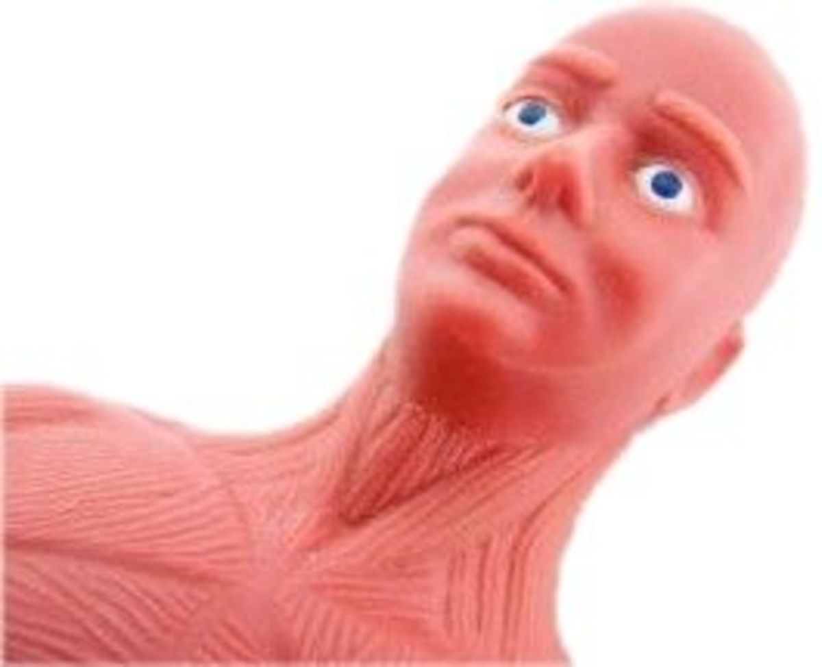 Anatomy Jane and Other Anatomy Models