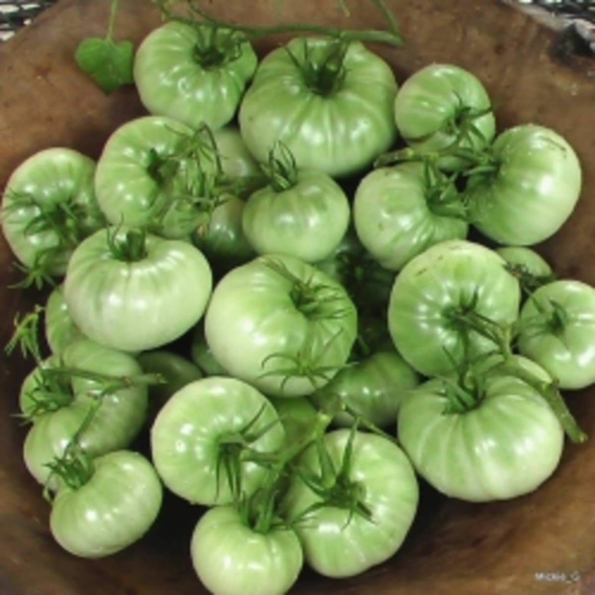 My "Famous" Green Tomato Casserole Recipe HubPages